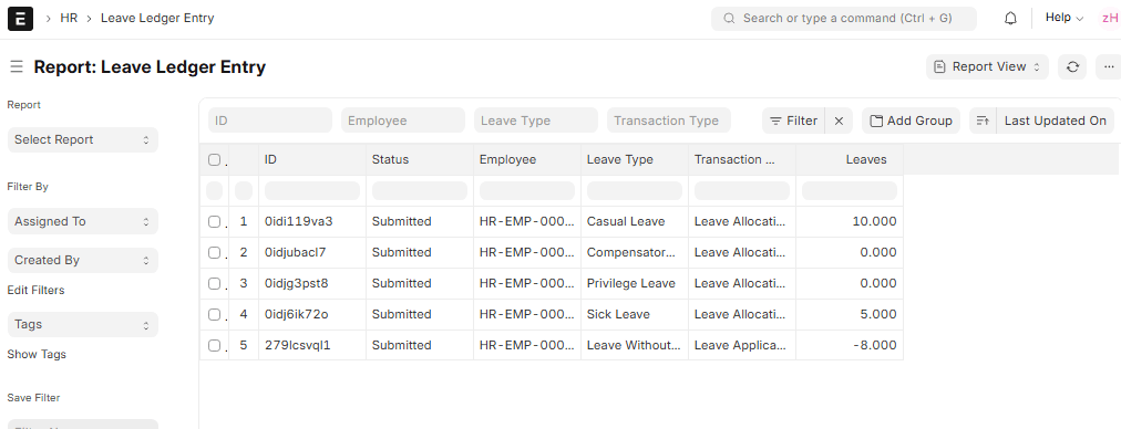 Leave Ledger Entry